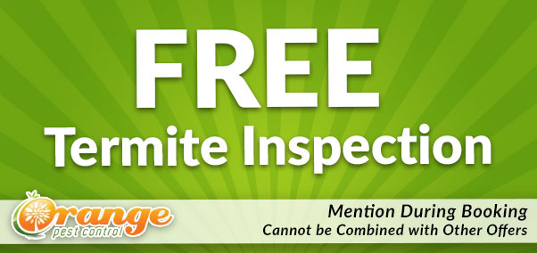 free termite inspection