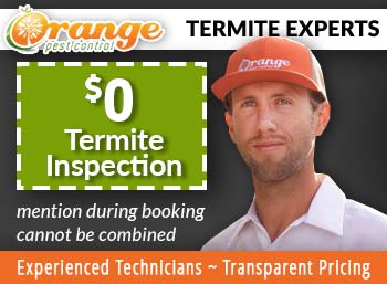 phoenix Termite Eradication  Orange Pest Control